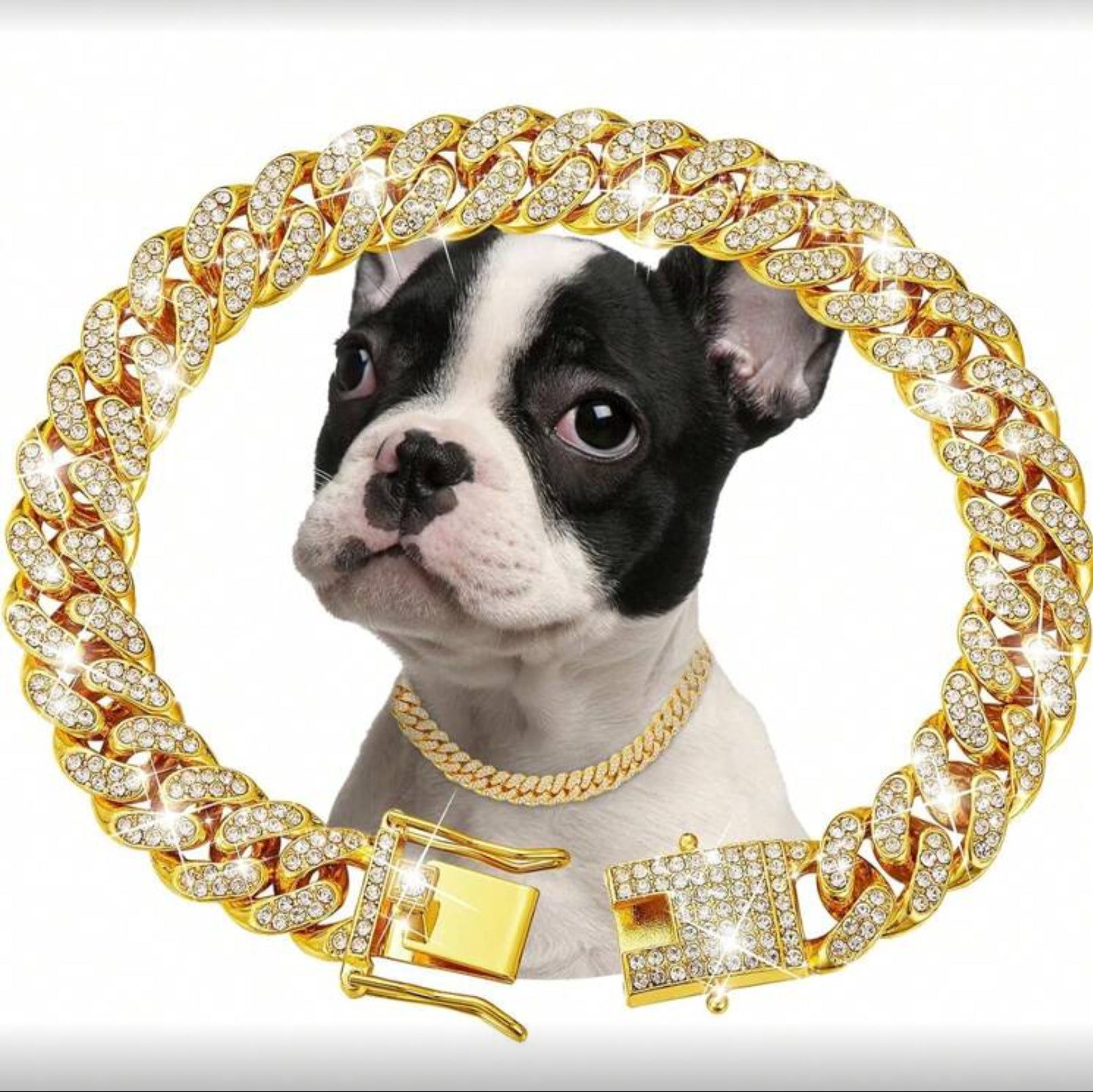 Collar de perro Dior